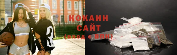 стафф Арсеньев