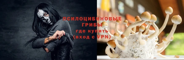 стафф Арсеньев